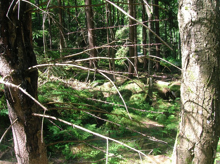img00051.jpg
