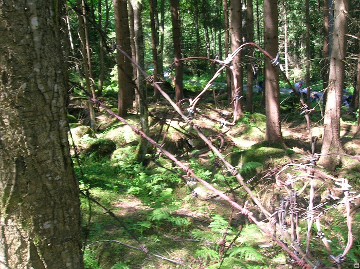 img00052.jpg