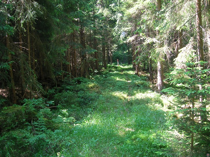 img00053.jpg