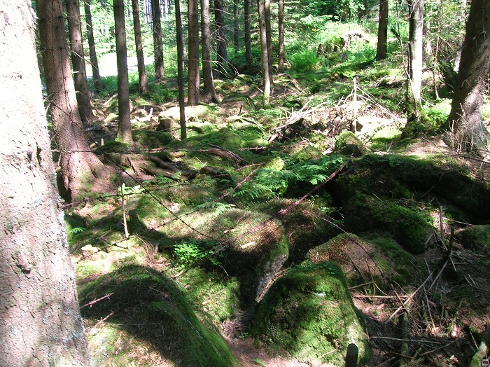 img00055.jpg