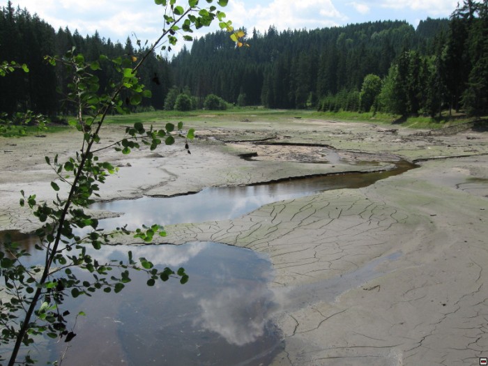 img00056.jpg