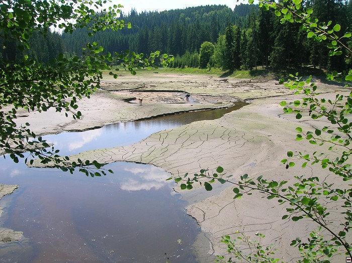 img00060.jpg