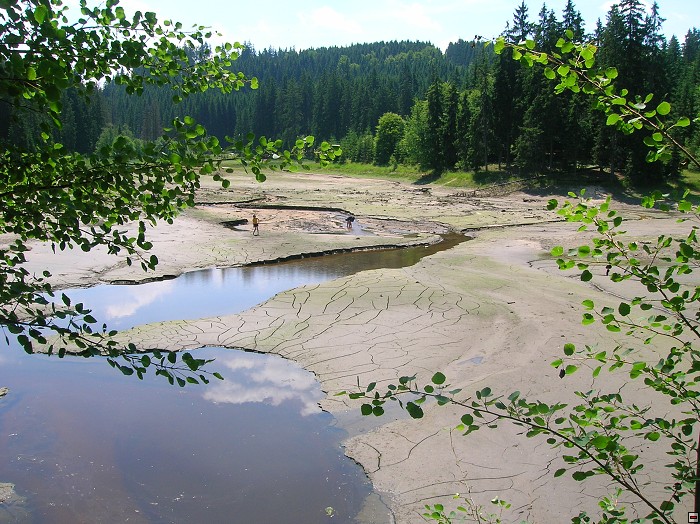 img00061.jpg