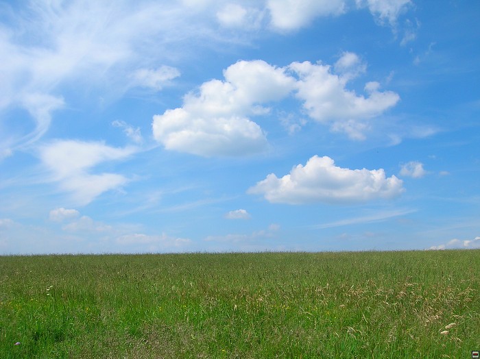 img00077.jpg