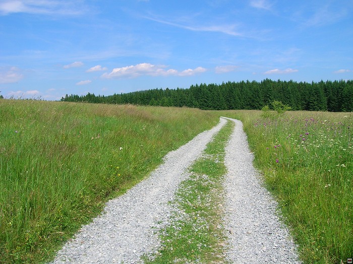 img00078.jpg