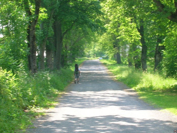 img00084.jpg