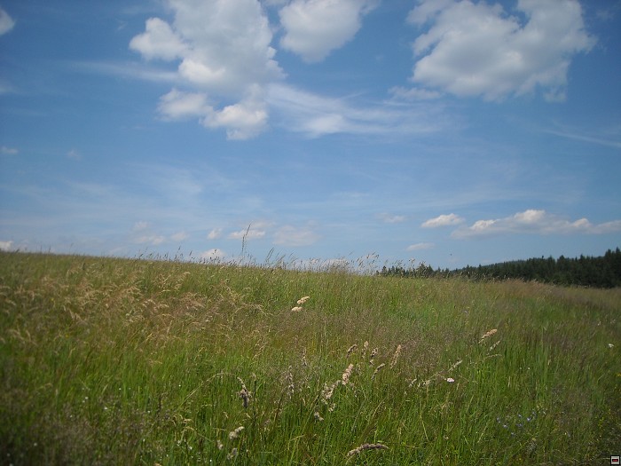 img00086.jpg