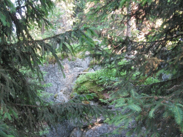 img00089.jpg