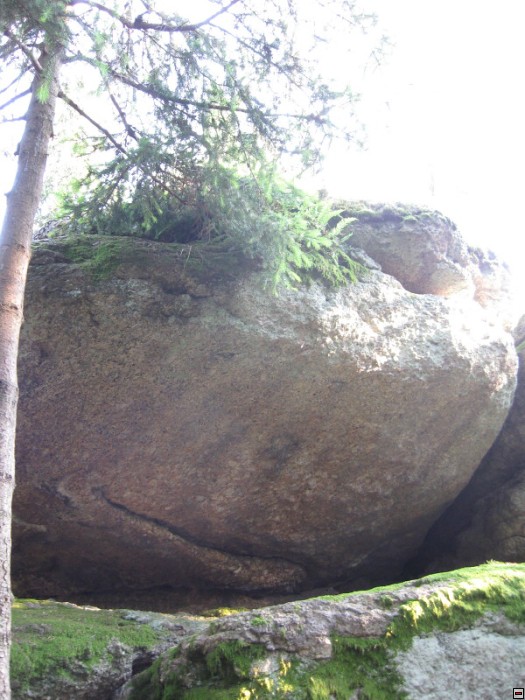 img00090.jpg