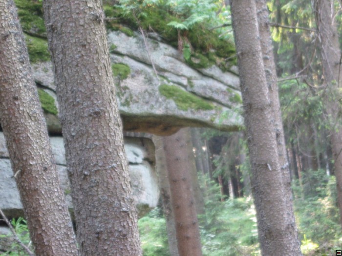 img00094.jpg