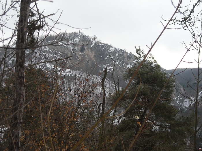 img00004.jpg
