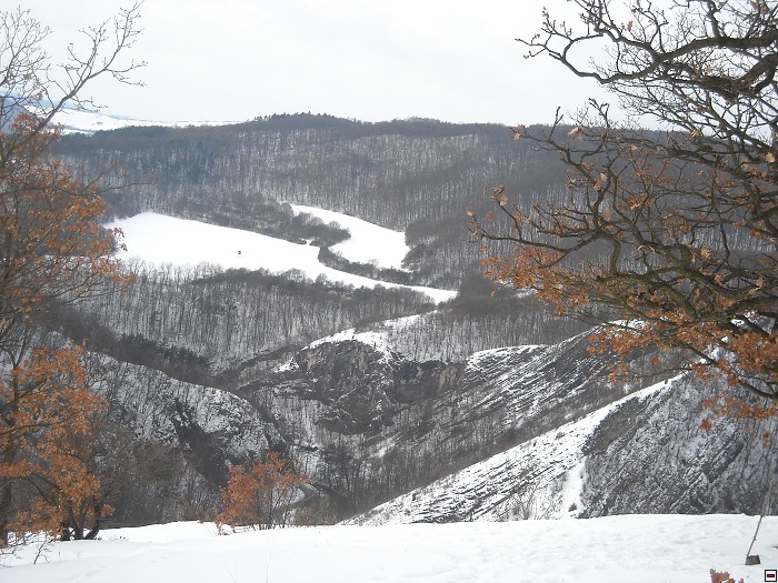 img00015.jpg