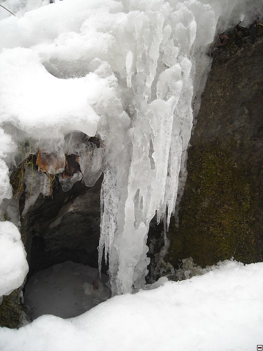 img00035.jpg