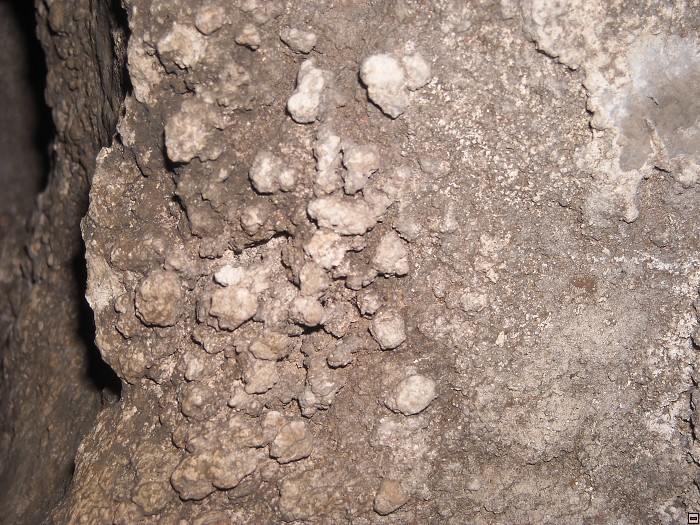 img00042.jpg