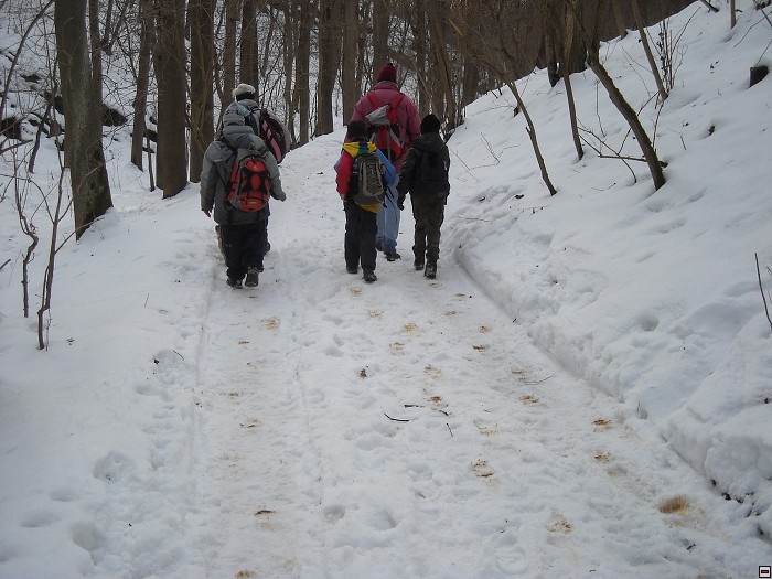 img00052.jpg