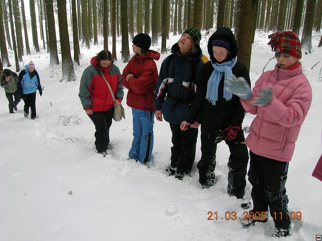 img00017.jpg