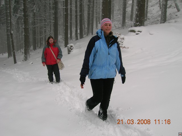 img00019.jpg