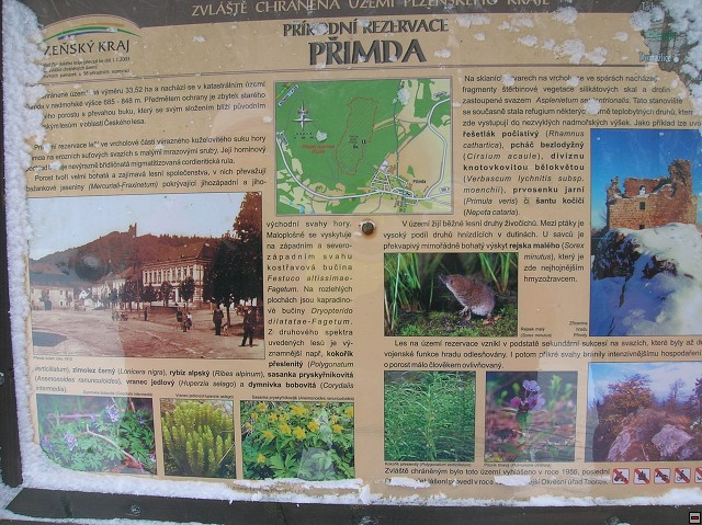 img00021.jpg