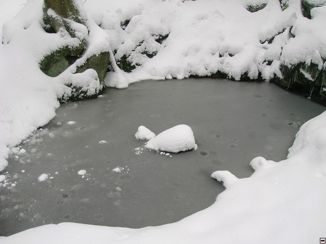 img00022.jpg