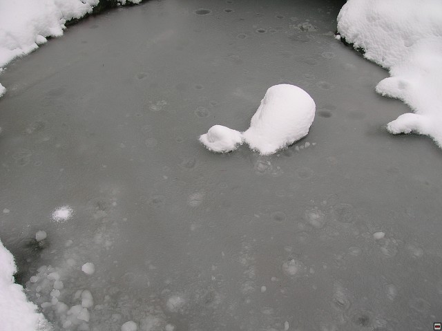 img00024.jpg