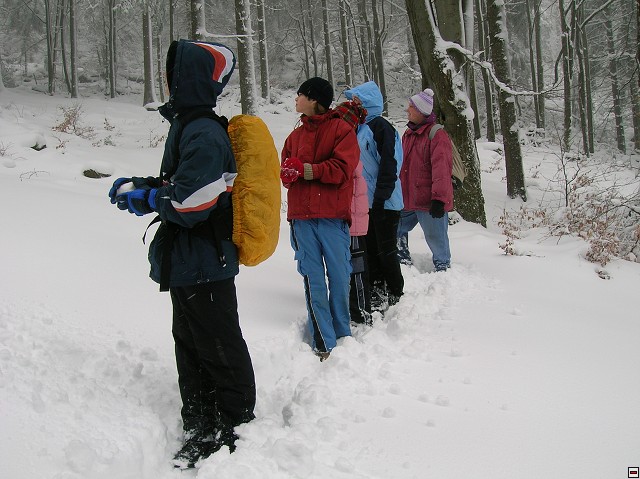 img00032.jpg
