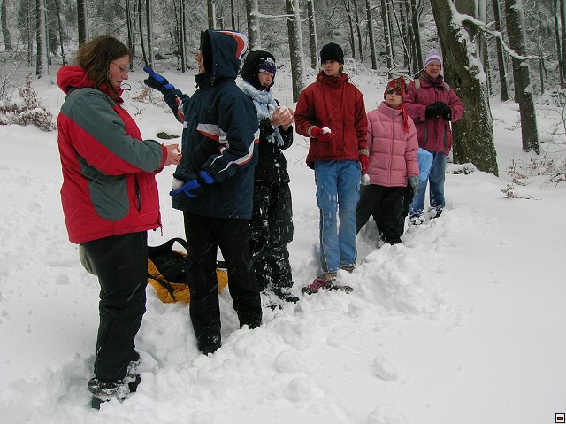 img00037.jpg