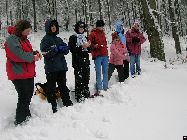 img00038.jpg