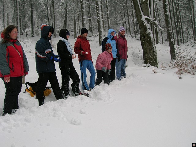 img00039.jpg