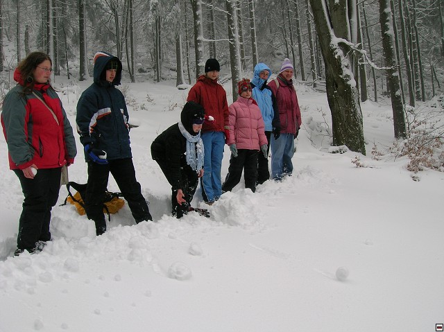 img00040.jpg