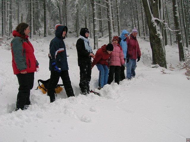 img00041.jpg