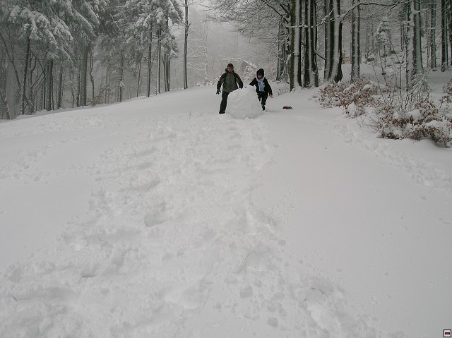 img00042.jpg