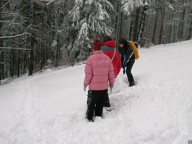 img00043.jpg