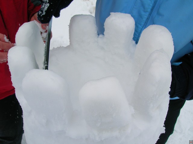 img00059.jpg