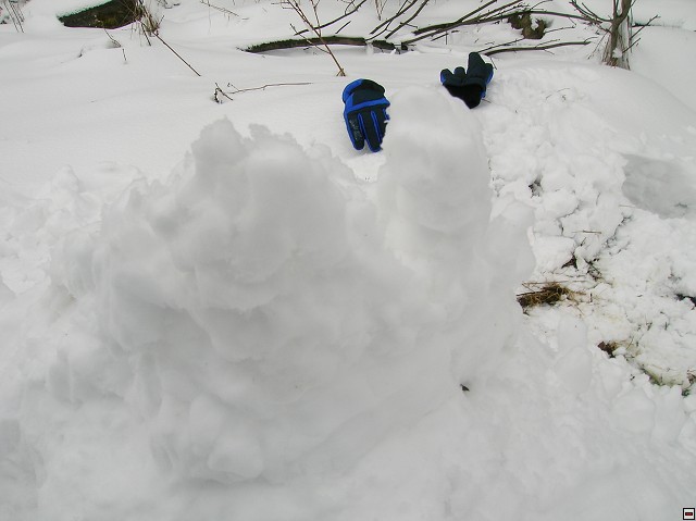 img00060.jpg