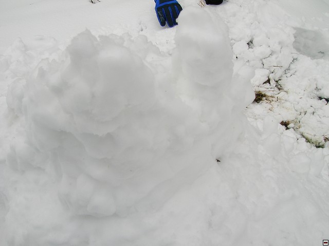img00061.jpg