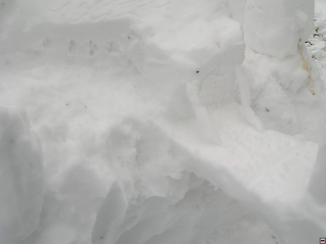 img00069.jpg
