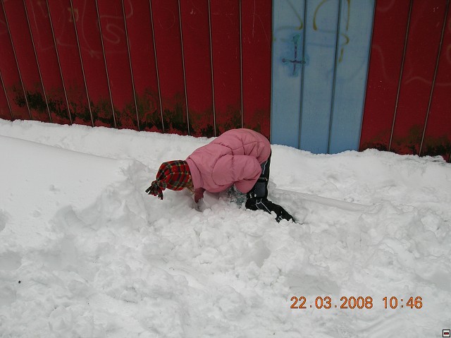 img00114.jpg