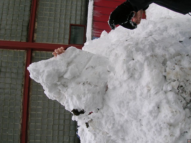 img00122.jpg