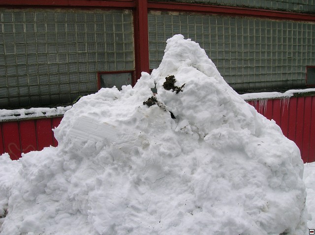 img00123.jpg