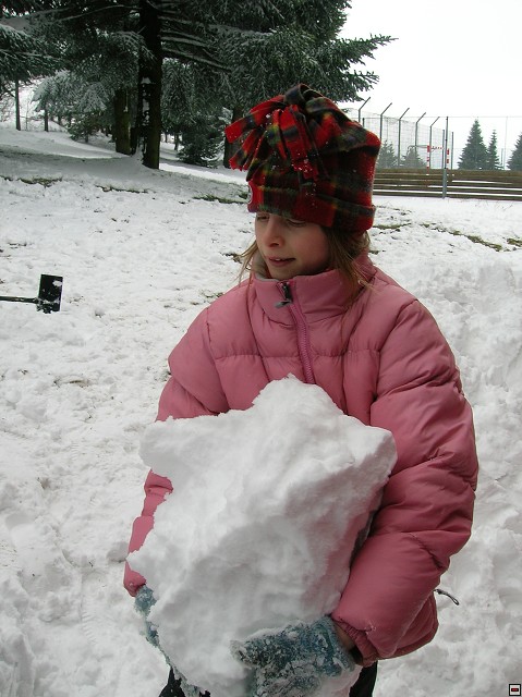 img00126.jpg