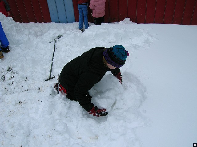 img00134.jpg