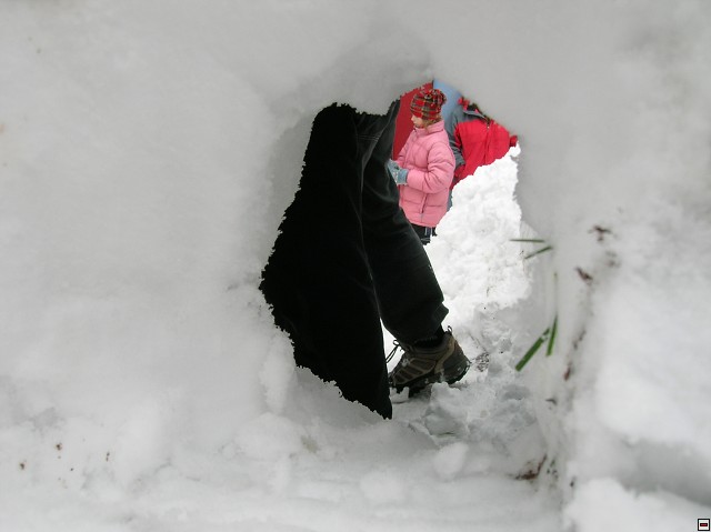 img00140.jpg