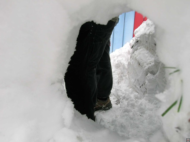 img00141.jpg