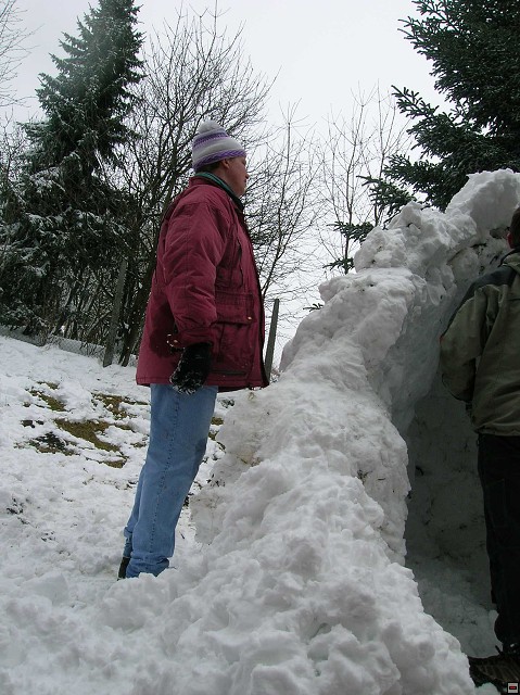 img00143.jpg