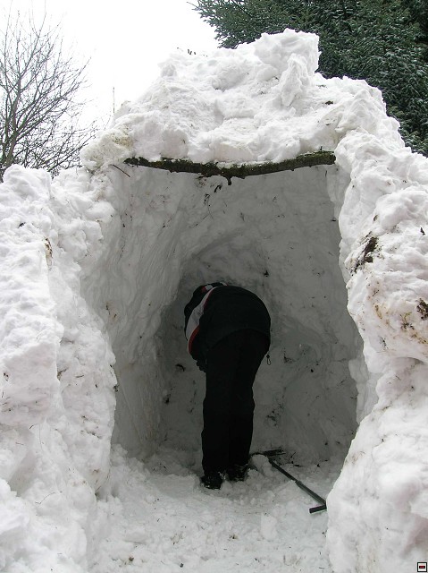 img00160.jpg