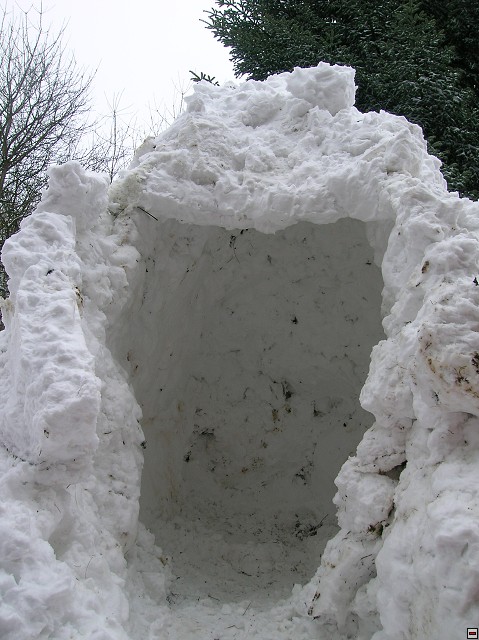 img00161.jpg
