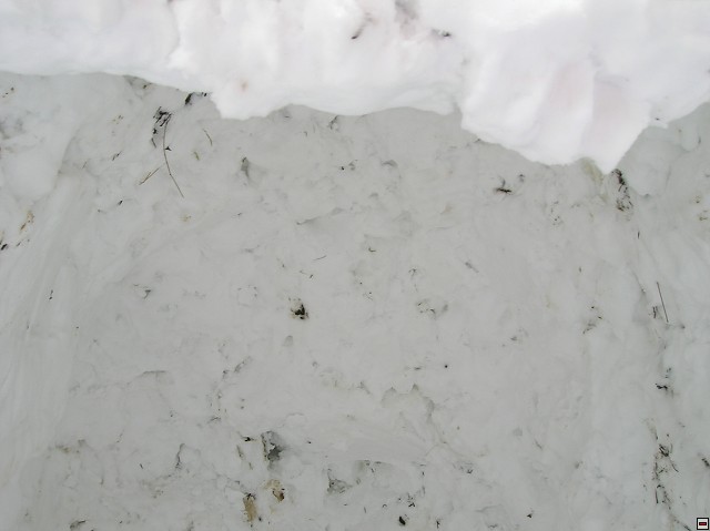 img00163.jpg