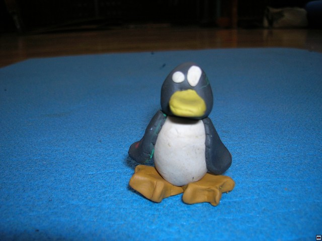 img00167.jpg