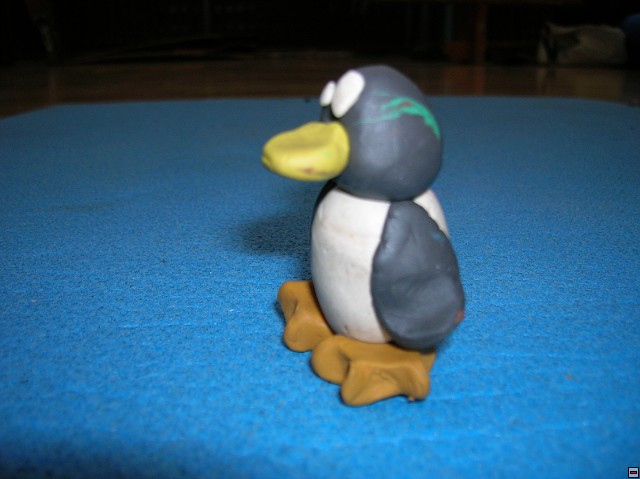 img00168.jpg