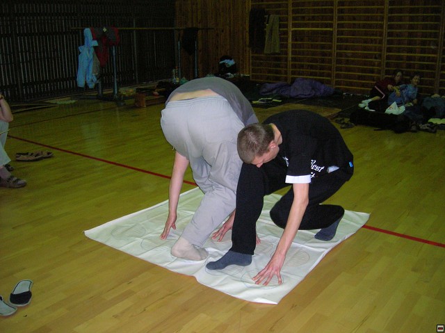 img00221.jpg